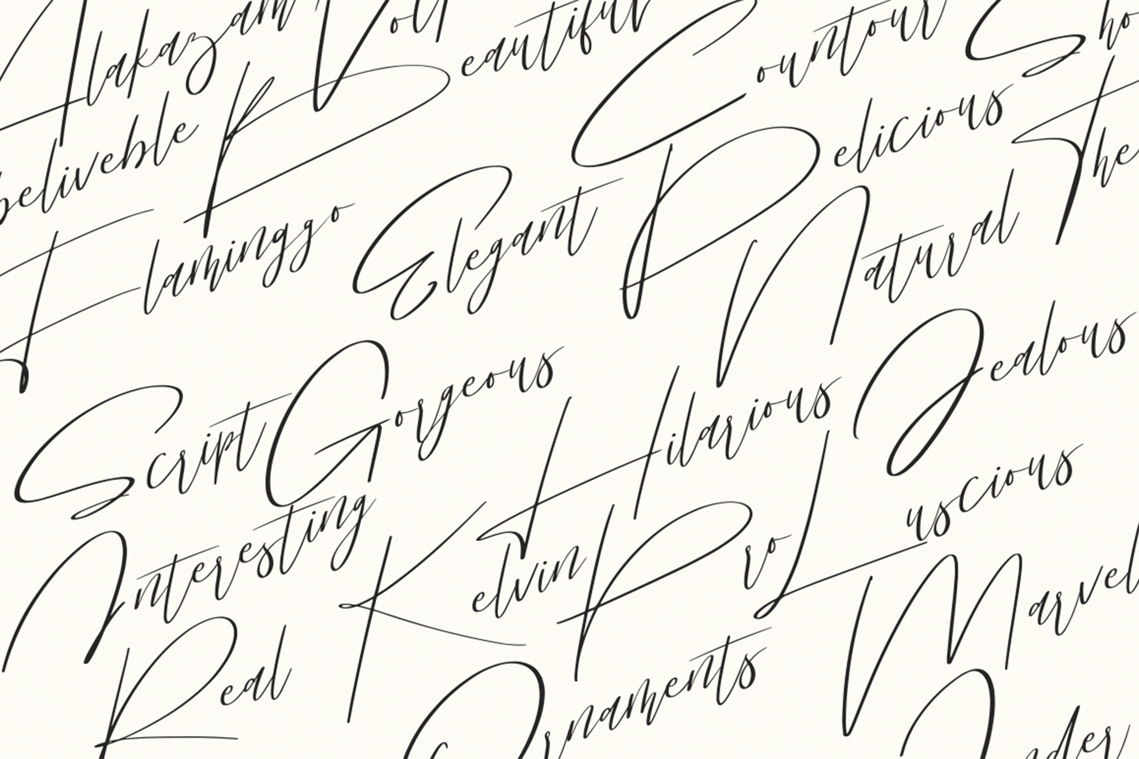 Bisqootte_0005_Layer-10