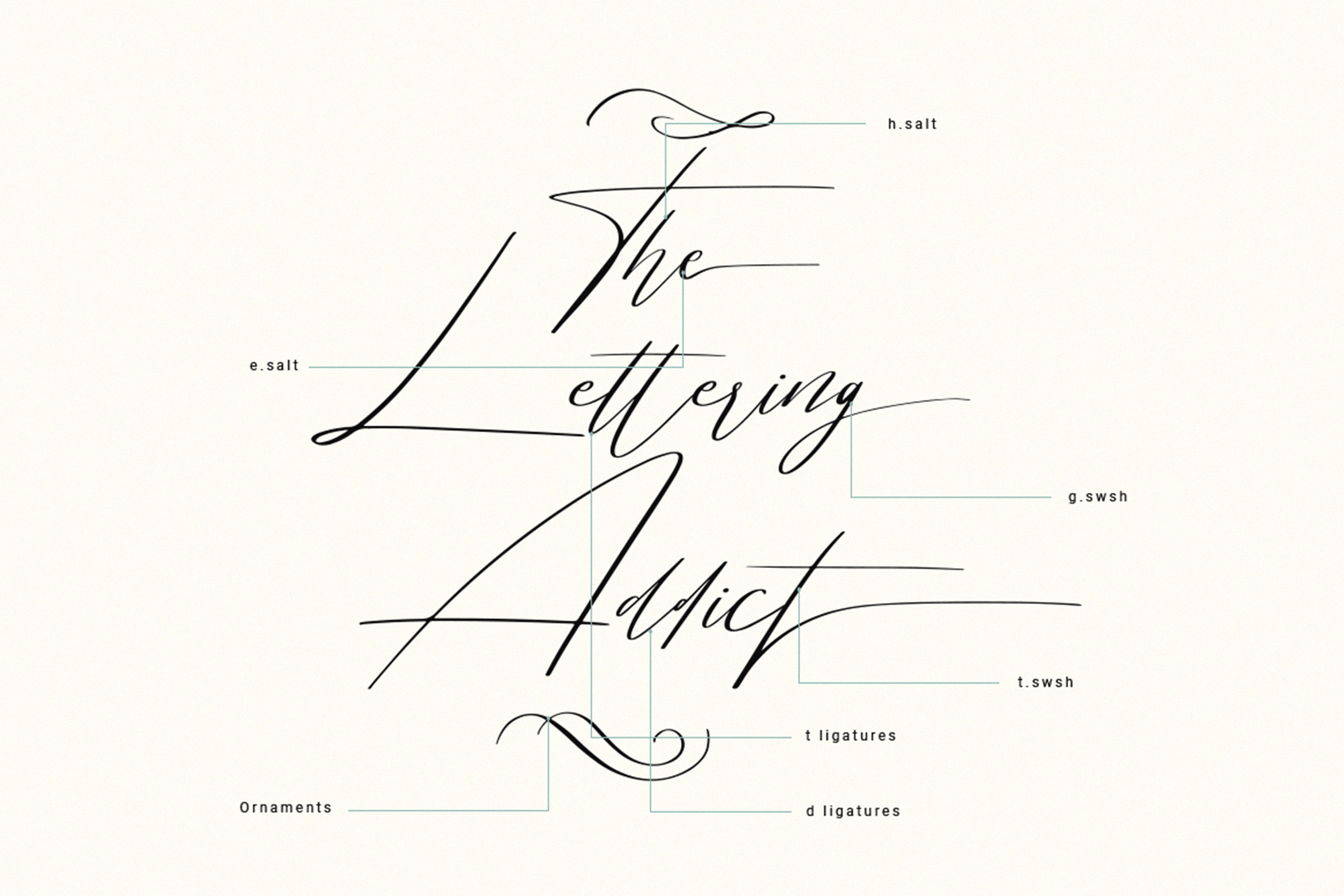 Bisqootte_0012_Layer-5